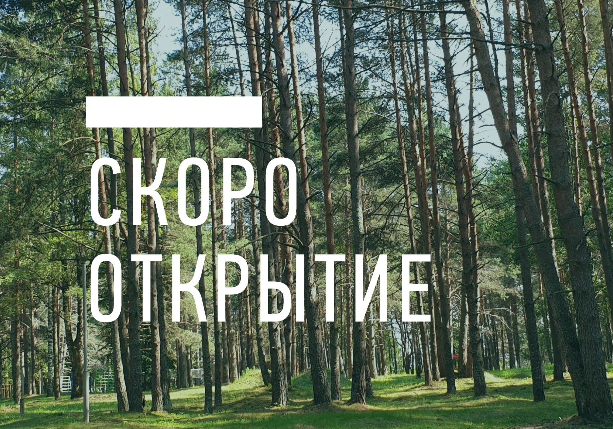 Кемпинг в сосновом лесу — скоро открытие